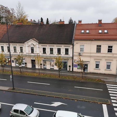 Apartment Trzaska With Free Parking Liubliana Exterior foto
