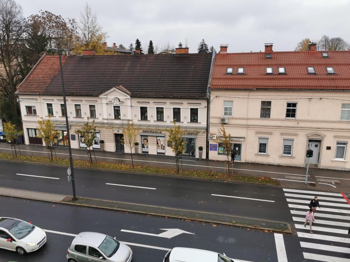 Apartment Trzaska With Free Parking Liubliana Exterior foto